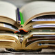 Aufgeschlagene Bücher und Stifte