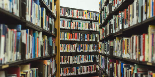 Bibliotheksgang