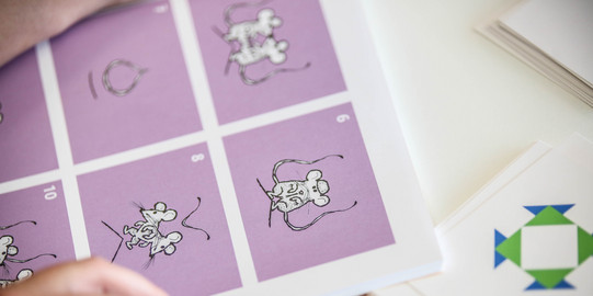 Ein Heft mit Bildern von Mäusen, die gespiegelt wurden.